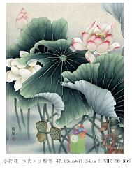 王翰尊-小荷花