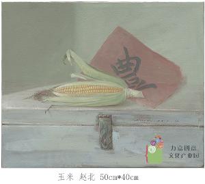 赵北-玉米