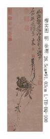 24L-TB-BQ-100明 徐渭 榴实图